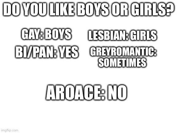 Blank White Template | DO YOU LIKE BOYS OR GIRLS? LESBIAN: GIRLS; GAY: BOYS; GREYROMANTIC: SOMETIMES; BI/PAN: YES; AROACE: NO | image tagged in blank white template | made w/ Imgflip meme maker