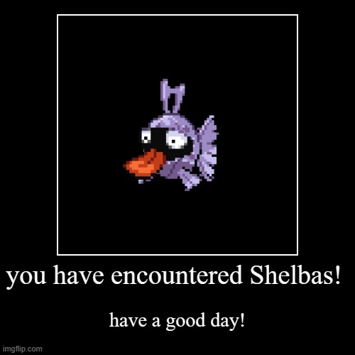 you have encountered Shelbas! | have a good day! | image tagged in funny,demotivationals | made w/ Imgflip demotivational maker