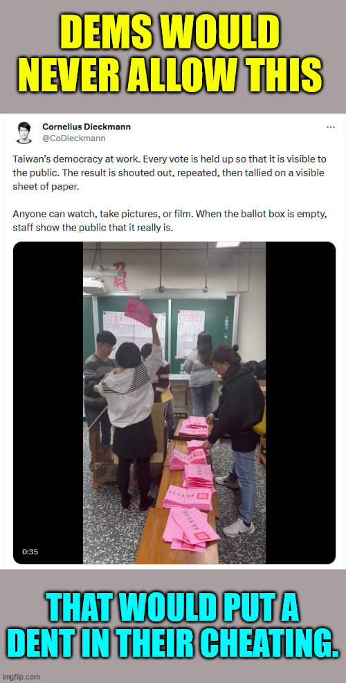 Taiwan shows everyone how ballot counting should be done. | DEMS WOULD NEVER ALLOW THIS; THAT WOULD PUT A DENT IN THEIR CHEATING. | image tagged in taiwan,shows how vote counting should be done,ccp hates it | made w/ Imgflip meme maker
