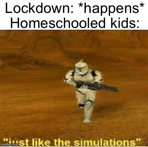 creative name | Lockdown: *happens*
Homeschooled kids: | image tagged in just like the simulations | made w/ Imgflip meme maker