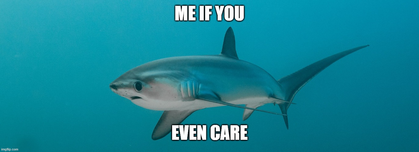 ME IF YOU; EVEN CARE | made w/ Imgflip meme maker