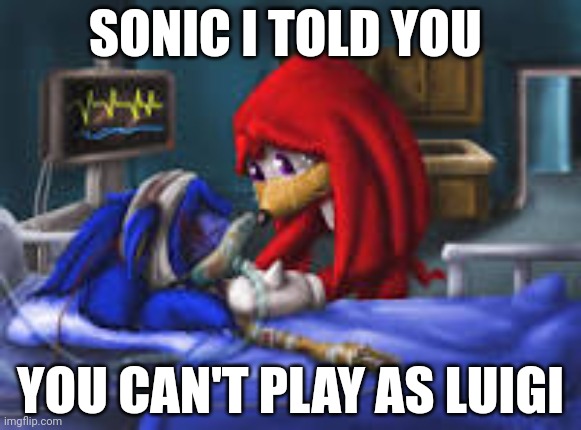 sonic i told you | SONIC I TOLD YOU; YOU CAN'T PLAY AS LUIGI | image tagged in sonic i told you | made w/ Imgflip meme maker