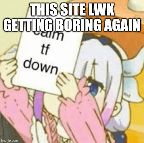 Used to actually be on all day | THIS SITE LWK GETTING BORING AGAIN | image tagged in calm tf down | made w/ Imgflip meme maker