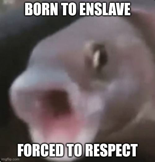 /j | BORN TO ENSLAVE; FORCED TO RESPECT | image tagged in poggers fish | made w/ Imgflip meme maker