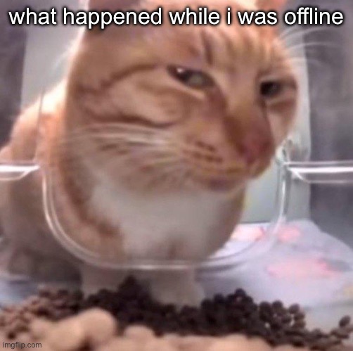 side eye | what happened while i was offline | image tagged in side eye | made w/ Imgflip meme maker