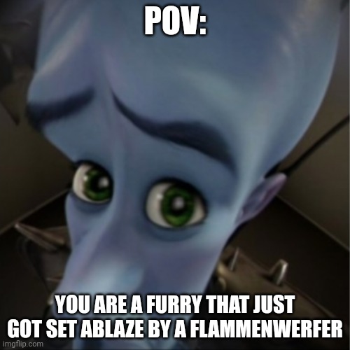 Megamind peeking | POV:; YOU ARE A FURRY THAT JUST GOT SET ABLAZE BY A FLAMMENWERFER | image tagged in megamind peeking | made w/ Imgflip meme maker