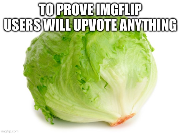 Lettuce  | TO PROVE IMGFLIP USERS WILL UPVOTE ANYTHING | image tagged in lettuce | made w/ Imgflip meme maker