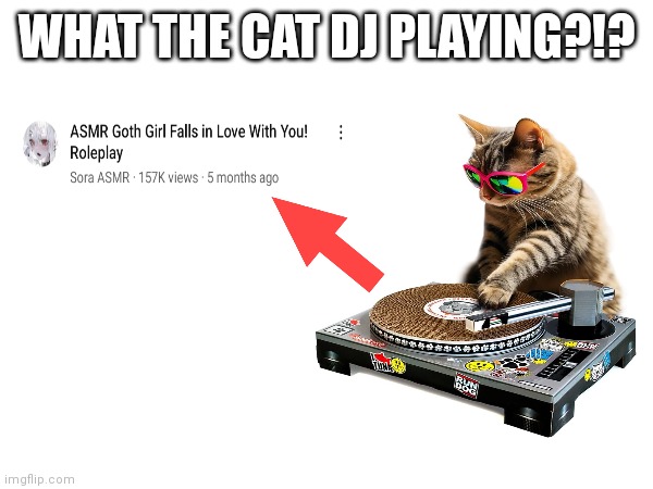 Cat dj?!?? | WHAT THE CAT DJ PLAYING?!? | image tagged in funny memes,cat,dj,memes,dank memes,so true memes | made w/ Imgflip meme maker