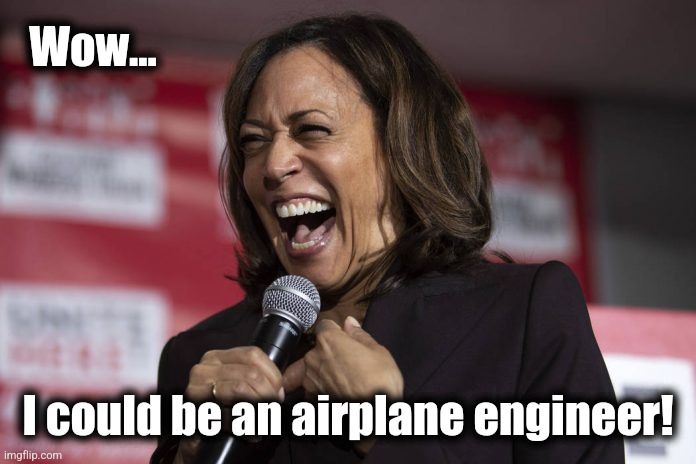 Kamala laughing | Wow... I could be an airplane engineer! | image tagged in kamala laughing | made w/ Imgflip meme maker