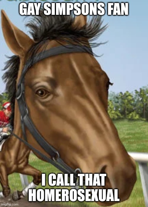 Big horse | GAY SIMPSONS FAN; I CALL THAT HOMEROSEXUAL | image tagged in big horse | made w/ Imgflip meme maker