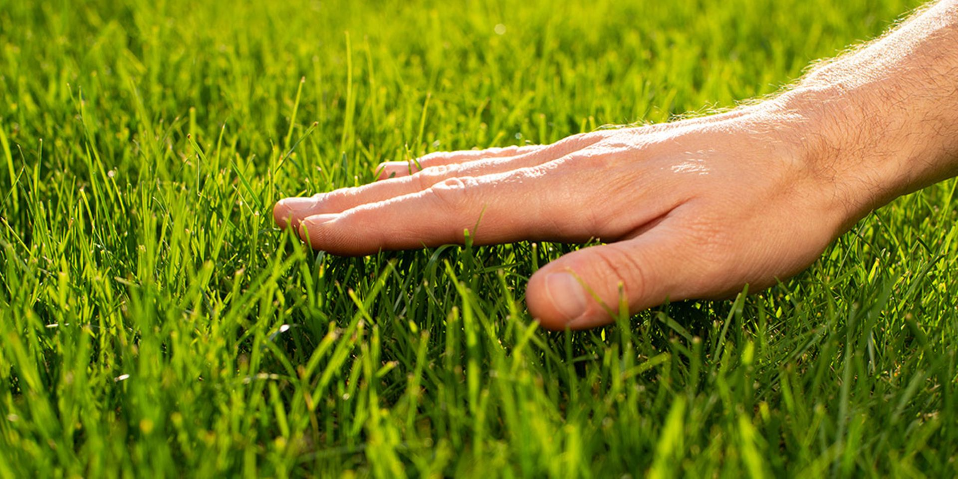 Touch Grass Blank Meme Template