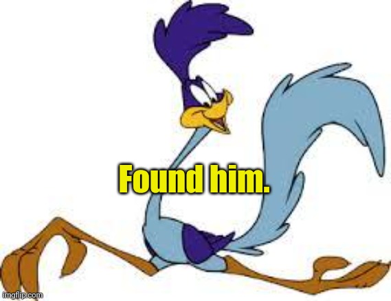 roadrunner | Found him. | image tagged in roadrunner | made w/ Imgflip meme maker