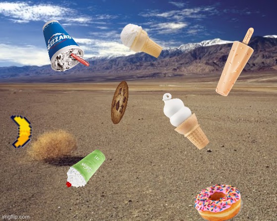 desert tumbleweed | image tagged in desert tumbleweed | made w/ Imgflip meme maker