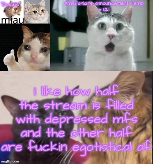AmeTonian's announcement Temp v 1.2.1 | I like how half the stream is filled with depressed mfs and the other half are fuckin egotistical af | image tagged in ametonian's announcement temp v 1 2 1 | made w/ Imgflip meme maker