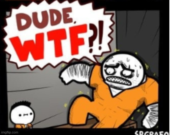 Dude wtf | image tagged in dude wtf | made w/ Imgflip meme maker