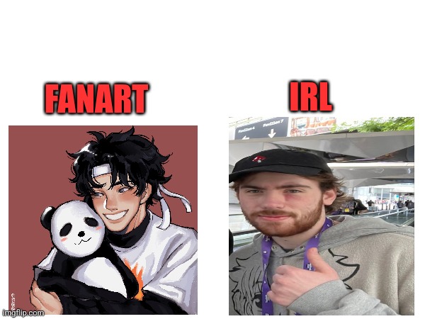 Fanart vs Irl | IRL; FANART | image tagged in fanart vs irl,sapnap,dsmp | made w/ Imgflip meme maker