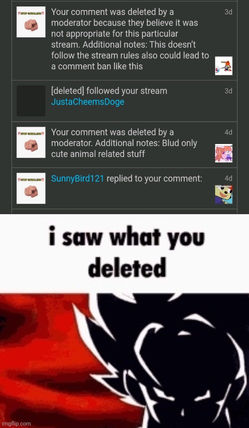 (The mod who banned me was Sun_shine) | image tagged in i saw what you deleted | made w/ Imgflip meme maker