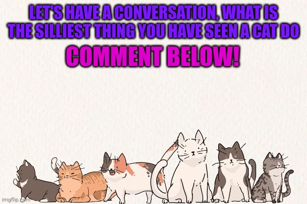 Let's talk! Cats edition | LET'S HAVE A CONVERSATION, WHAT IS THE SILLIEST THING YOU HAVE SEEN A CAT DO; COMMENT BELOW! | image tagged in drawn cats,cats | made w/ Imgflip meme maker