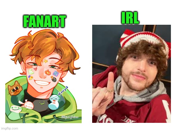 Fanart vs irl | IRL; FANART | image tagged in dreamwastaken,fanart vs irl | made w/ Imgflip meme maker