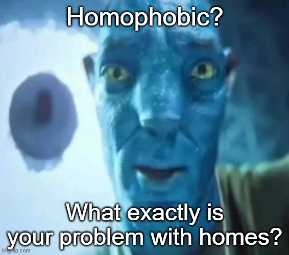 Avatar guy | Homophobic? What exactly is your problem with homes? | image tagged in avatar guy | made w/ Imgflip meme maker