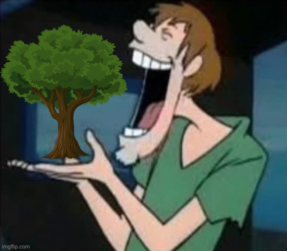 Shaggy Eating Nothing | image tagged in shaggy eating nothing | made w/ Imgflip meme maker