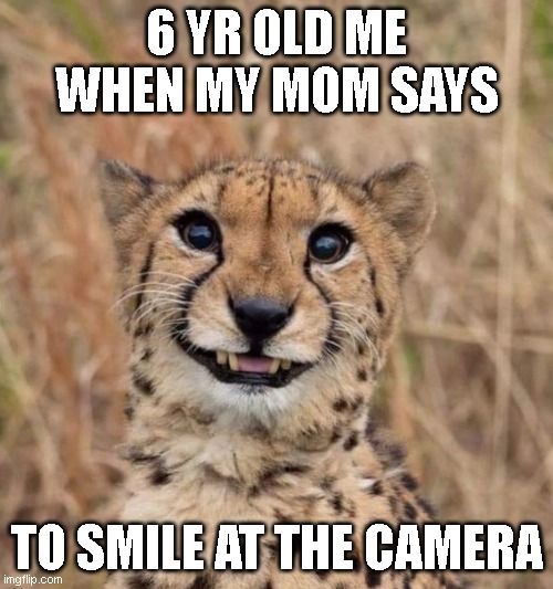 CHEETH | 6 YR OLD ME WHEN MY MOM SAYS; TO SMILE AT THE CAMERA | image tagged in memes,funny memes,cheetah | made w/ Imgflip meme maker