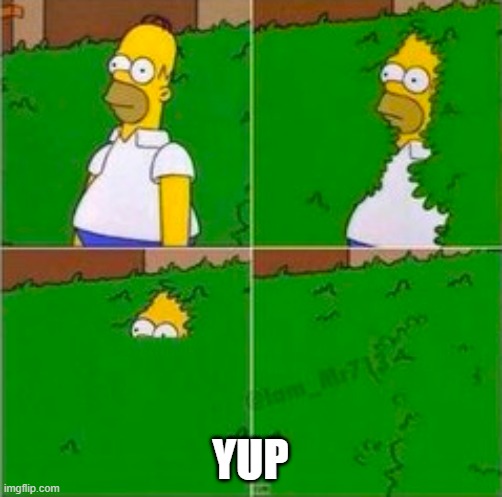homer disappearing | YUP | image tagged in homer disappearing | made w/ Imgflip meme maker