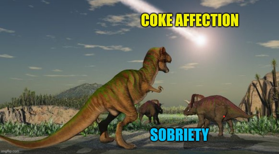 Soooo drunk but sober | COKE AFFECTION; SOBRIETY | image tagged in dinosaurs meteor | made w/ Imgflip meme maker