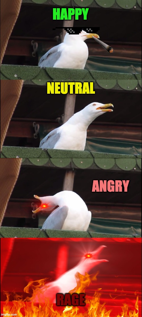 Inhaling Seagull | HAPPY; NEUTRAL; ANGRY; RAGE | image tagged in memes,inhaling seagull | made w/ Imgflip meme maker