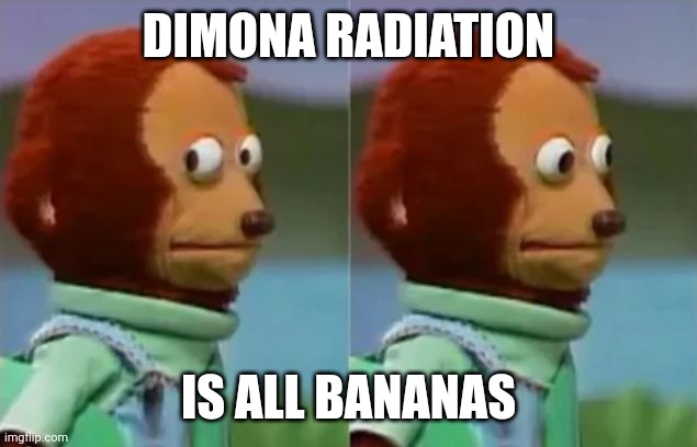 don’t look at me | DIMONA RADIATION; IS ALL BANANAS | image tagged in don t look at me | made w/ Imgflip meme maker