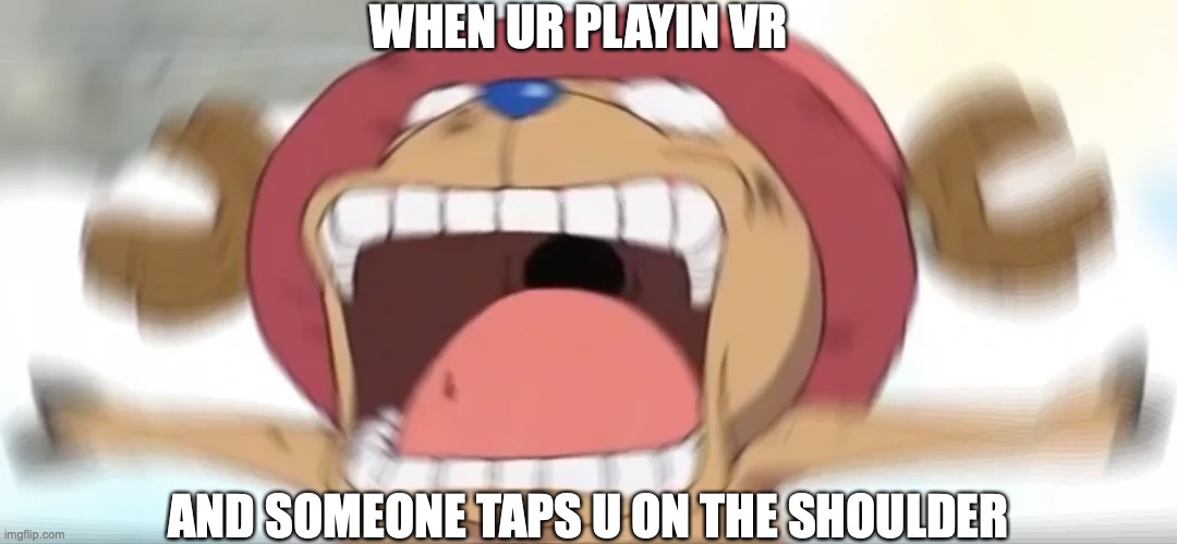 Chopper screaming | WHEN UR PLAYIN VR; AND SOMEONE TAPS U ON THE SHOULDER | image tagged in chopper screaming | made w/ Imgflip meme maker