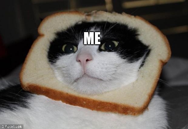 cat bread | ME | image tagged in cat bread | made w/ Imgflip meme maker