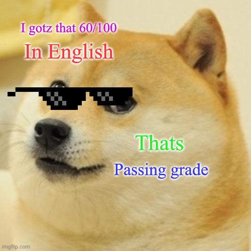 Thats Passing Grade | I gotz that 60/100; In English; Thats; Passing grade | image tagged in memes,doge | made w/ Imgflip meme maker