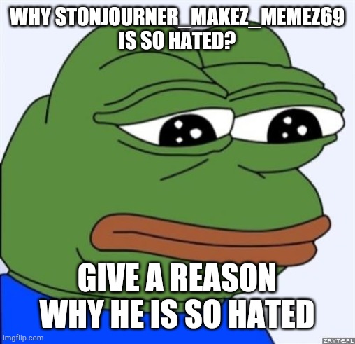 why? | WHY STONJOURNER_MAKEZ_MEMEZ69 IS SO HATED? GIVE A REASON WHY HE IS SO HATED | image tagged in sad frog | made w/ Imgflip meme maker