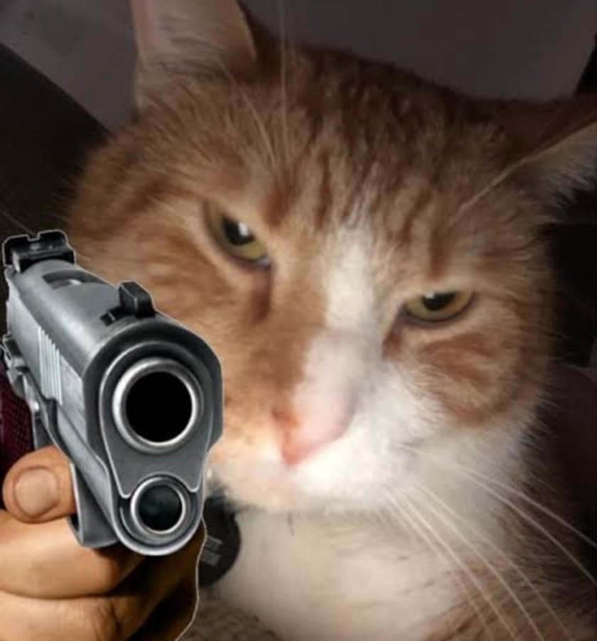 Cat with gun Blank Meme Template