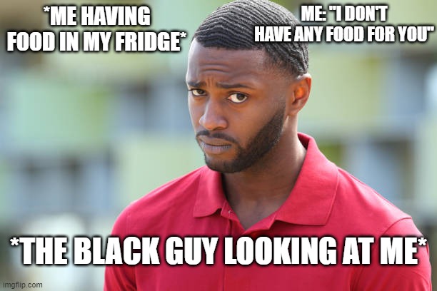 ME: "I DON'T HAVE ANY FOOD FOR YOU"; *ME HAVING FOOD IN MY FRIDGE*; *THE BLACK GUY LOOKING AT ME* | image tagged in funny | made w/ Imgflip meme maker