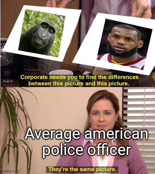 They're The Same Picture | Average american police officer | image tagged in memes,they're the same picture | made w/ Imgflip meme maker