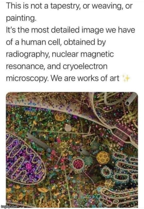 Fascinating isn’t it | made w/ Imgflip meme maker