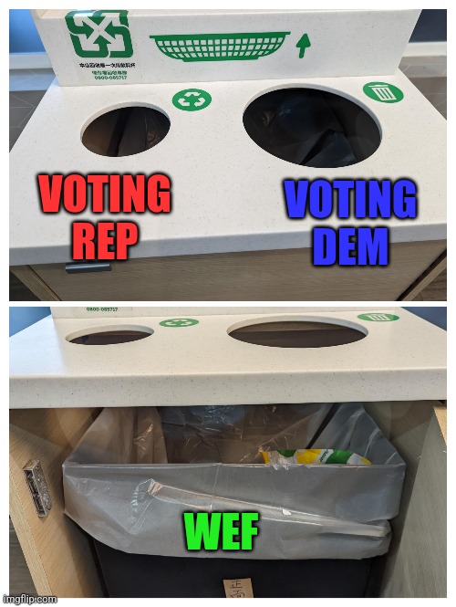 VOTING REP; VOTING DEM; WEF | image tagged in funny memes | made w/ Imgflip meme maker
