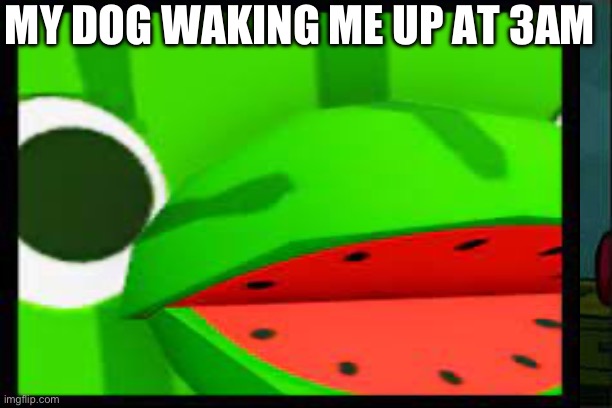 MY DOG WAKING ME UP AT 3AM | image tagged in mocking spongebob | made w/ Imgflip meme maker