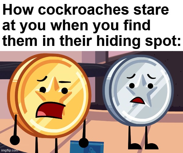 True Story | How cockroaches stare at you when you find them in their hiding spot: | image tagged in the coin brothers,what the hell,reaction,leave me alone,object shows | made w/ Imgflip meme maker