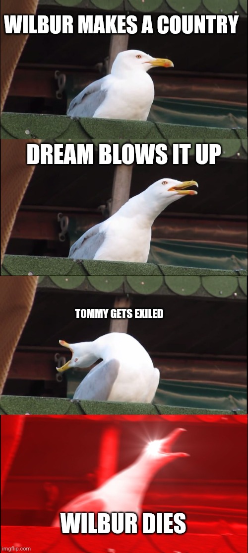 Poor Wilbur XD | WILBUR MAKES A COUNTRY; DREAM BLOWS IT UP; TOMMY GETS EXILED; WILBUR DIES | image tagged in memes,inhaling seagull | made w/ Imgflip meme maker