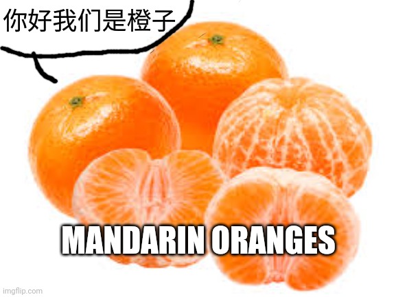 Mandarin | 你好我们是橙子; MANDARIN ORANGES | image tagged in mandarins,orange | made w/ Imgflip meme maker