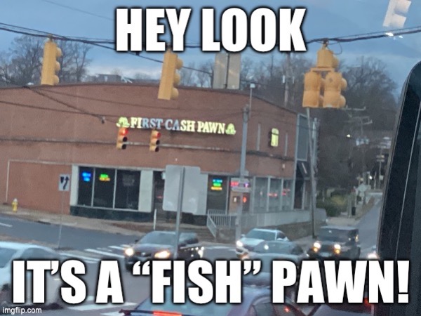 Fish pawn | image tagged in fish | made w/ Imgflip meme maker