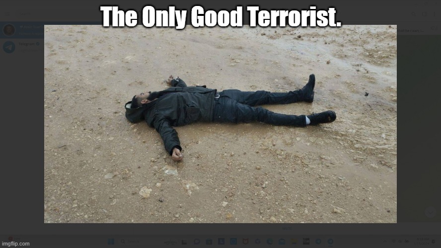 The Only Good Terrorist. | image tagged in terrorism,gaza,hamas | made w/ Imgflip meme maker