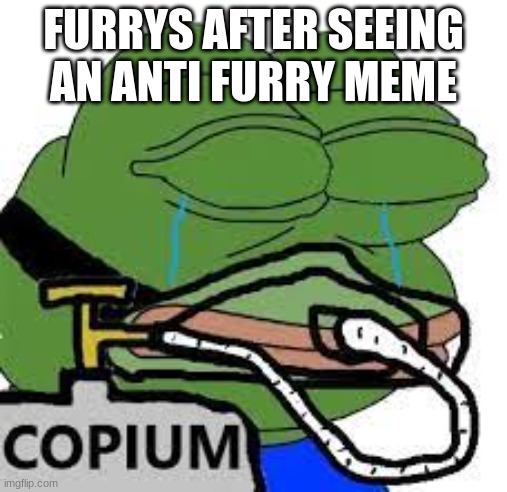copium | FURRYS AFTER SEEING AN ANTI FURRY MEME | image tagged in copium | made w/ Imgflip meme maker