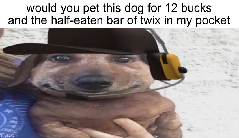 funny | would you pet this dog for 12 bucks and the half-eaten bar of twix in my pocket | image tagged in chucklenuts | made w/ Imgflip meme maker
