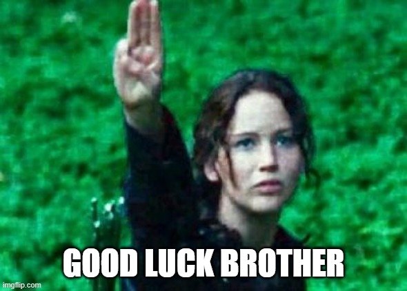 GOOD LUCK BROTHER | image tagged in katniss salute | made w/ Imgflip meme maker