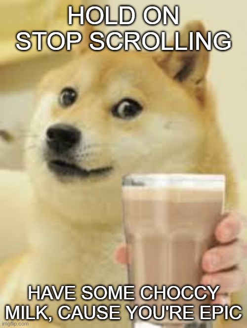 image tagged in meme,memes,stop scrolling,choccy milk,chocolate milk,doge | made w/ Imgflip meme maker