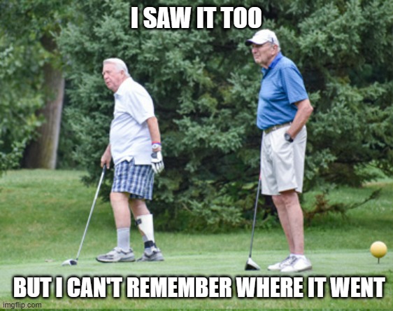 meme by Brad old golfers playing golf | I SAW IT TOO; BUT I CAN'T REMEMBER WHERE IT WENT | image tagged in golf,funny,humor,funny meme | made w/ Imgflip meme maker